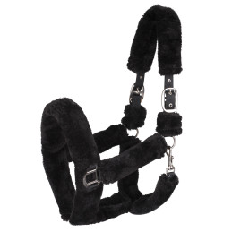 LICOL COZY WALDHAUSEN