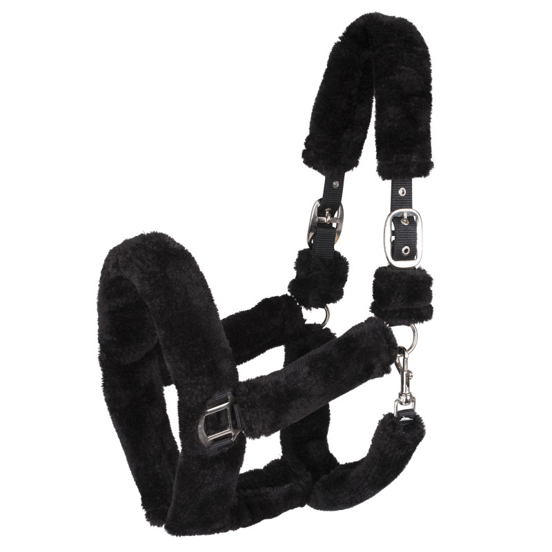 LICOL COZY WALDHAUSEN