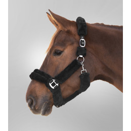 LICOL COZY WALDHAUSEN