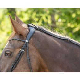 RENES ANTI BROUTAGE NOIRES QHP