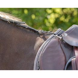 RENES ANTI BROUTAGE NOIRES QHP