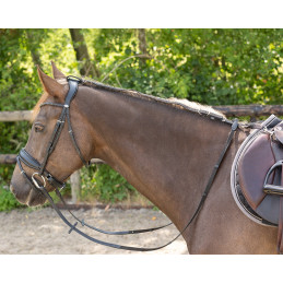 RENES ANTI BROUTAGE NOIRES QHP