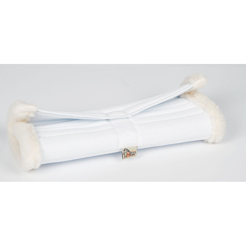 SOUS BANDE SHOW HARRY'S HORSE