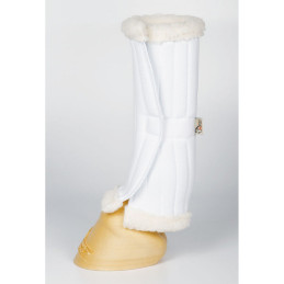 SOUS BANDE SHOW HARRY'S HORSE