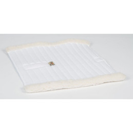 SOUS BANDE SHOW HARRY'S HORSE