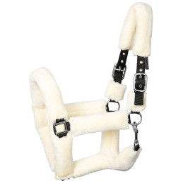 LICOL TEDDY HARRY'S HORSE