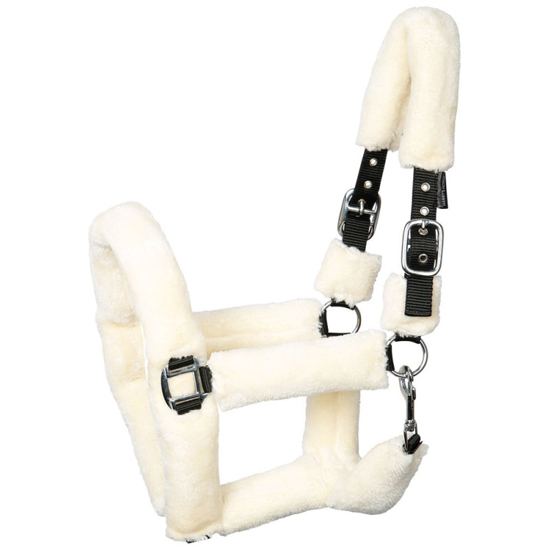 LICOL TEDDY HARRY'S HORSE