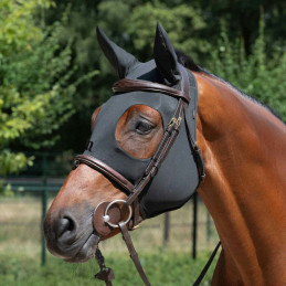 MASQUE APAISANT BACK ON TRACK