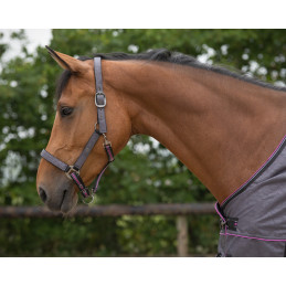 LICOL+LONGE SS24 QHP