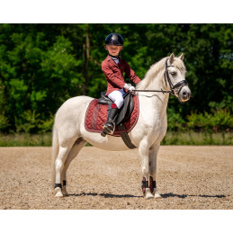 VESTE CONCOURS KAE QHP