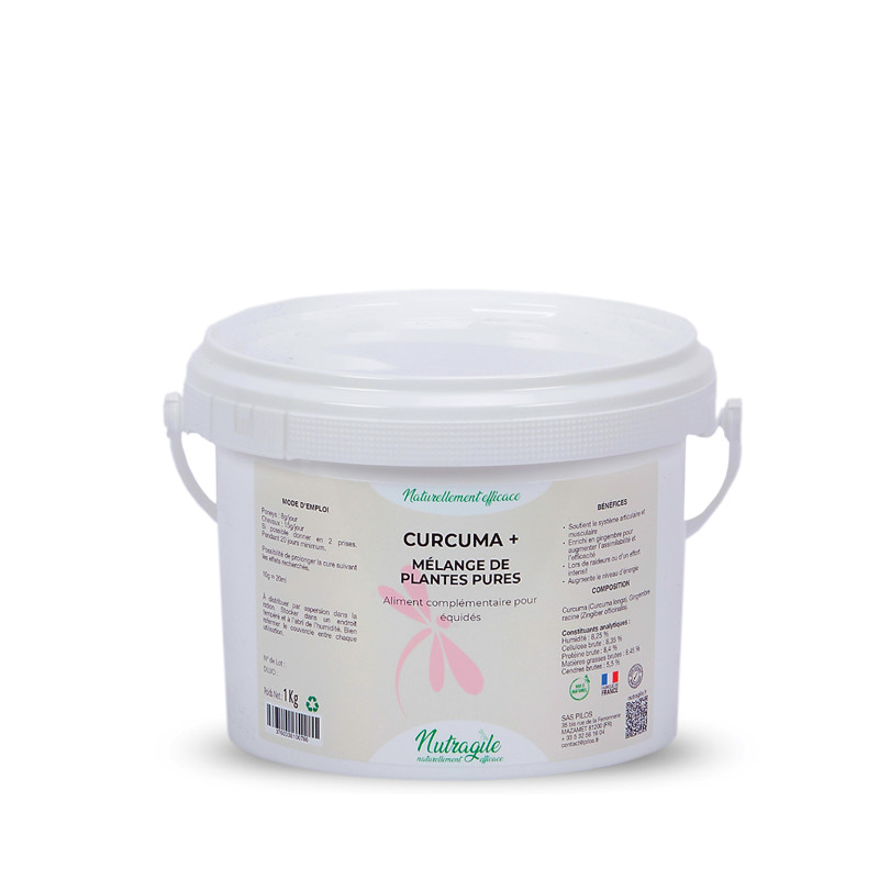 CURCUMA + 1KG NUTRAGILE
