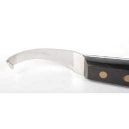 RENETTE HARRY'S HORSE