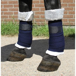 SOUS BANDANGES CHAMPION HARRY'S HORSE