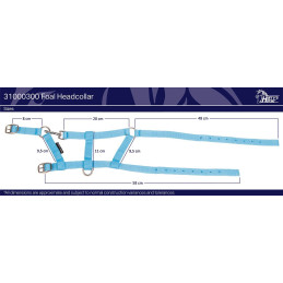 LICOL POULAIN HARRY'S HORSE