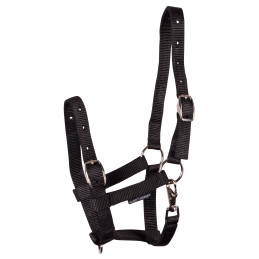 LICOL POULAIN HARRY'S HORSE