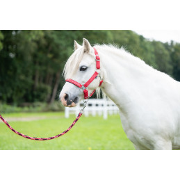 LONGE AYMEE 1.40M HKM