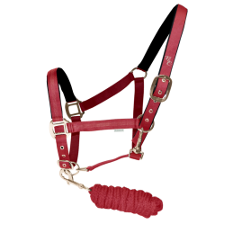 LICOL+LONGE ESTRELLA FLAG'S&CUP