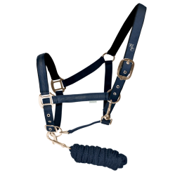 LICOL+LONGE ESTRELLA FLAG'S&CUP