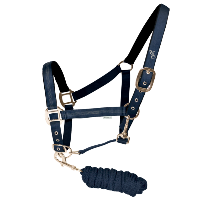 LICOL+LONGE ESTRELLA FLAG'S&CUP