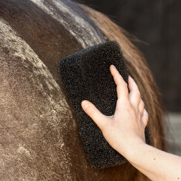 EQUI SUPER SHINER BLACK QHP