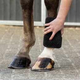 EQUI SUPER SHINER BLACK QHP