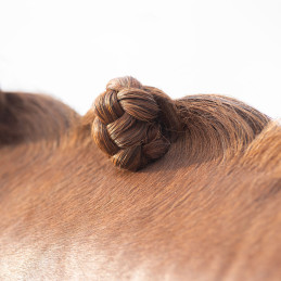 BATON DE CIRE POUR PIONS QHP