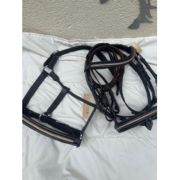 BRIDON MYLORD CANTER