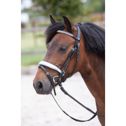 BRIDON DIVA STELLA HARRY'S HORSE