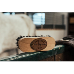 BROSSE DE TETE BORSTIQ