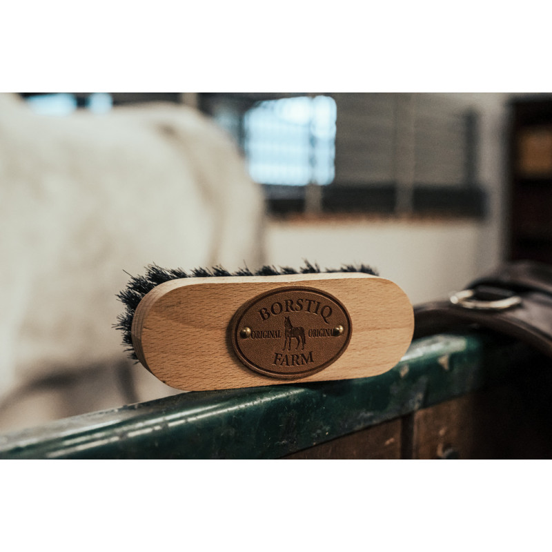 BROSSE DE TETE BORSTIQ