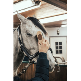 BROSSE DE TETE BORSTIQ