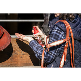 MOUSSE POUR CUIR 200ML LEOVET