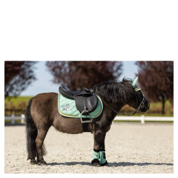 BONNET A MOUCHES BR MINI HORSE