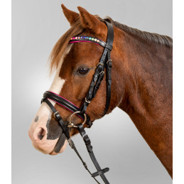 BRIDON PINKY WALDHAUSEN