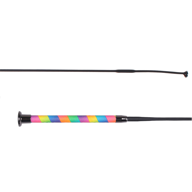 STICK DRESSAGE OMBRE QHP