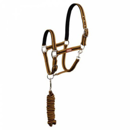 LICOL+LONGE PREMIERE AW24