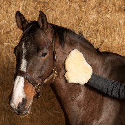 GANT MERINO HARRY'S HORSE