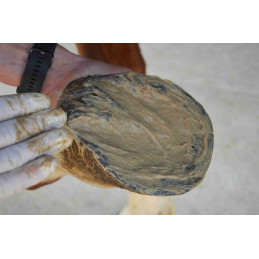 MAGIC PIEDS 500G NUTRAGILE