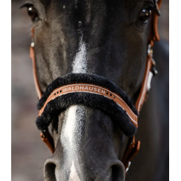 LICOL ELEGANT MOUTON WALD