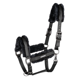 LICOL PARIS WALDHAUSEN