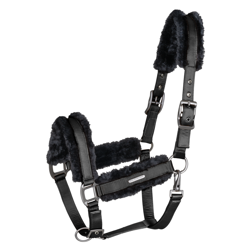 LICOL PARIS WALDHAUSEN