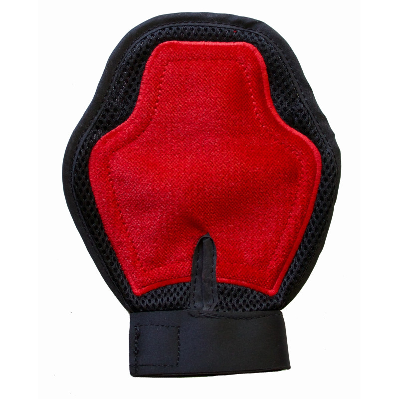 GANT DE PANSAGE DOUCHE ET LUSTRAGE ROUGE TDET