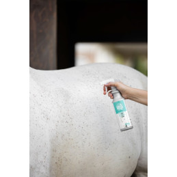 SHAMPOING SEC MAGIC BRUSH 500ML EASYCARE