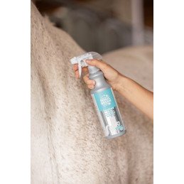 SHAMPOING SEC MAGIC BRUSH 500ML EASYCARE