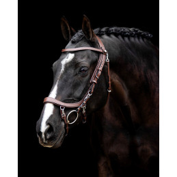 BRIDON FAYSPORT PRESTEQ