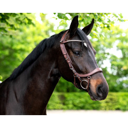 BRIDON FAYSPORT PRESTEQ