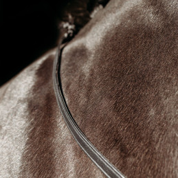 RENES FAYREN PRESTEQ