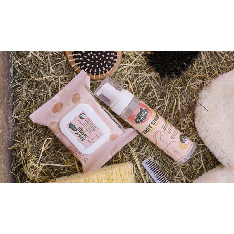 EASY SHINE MOUSS 200ML