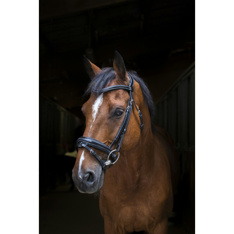 BRIDON PRO DESIGN ERIC THOMAS