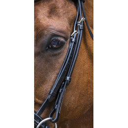 BRIDON PRO DESIGN ERIC THOMAS